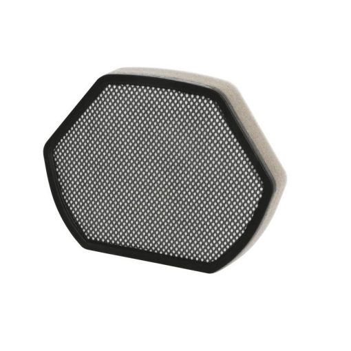Filtru spuma pentru aspirator Bosch, 12012937